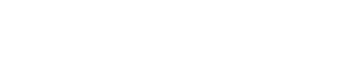 New Horizon Training Academy
